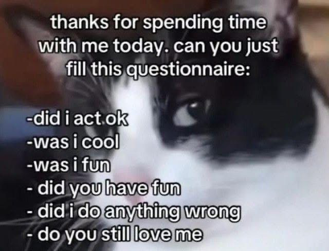 This meme displays a close-up, slightly blurred photo of a black and white cat staring intensely directly at the viewer, overlaid with white sans-serif text. The text opens with a polite line: "thanks for spending time with me today. can you just fill this questionnaire:" followed by a bullet-point list of overthinking questions common to people with social anxiety: "did i act ok", "was i cool", "was i fun", "did you have fun", "did i do anything wrong", "do you still love me". The humor comes from the relatable experience of over-analyzing social interactions after they end, framing that internal overthinking as a formal required survey for the other person to complete.
