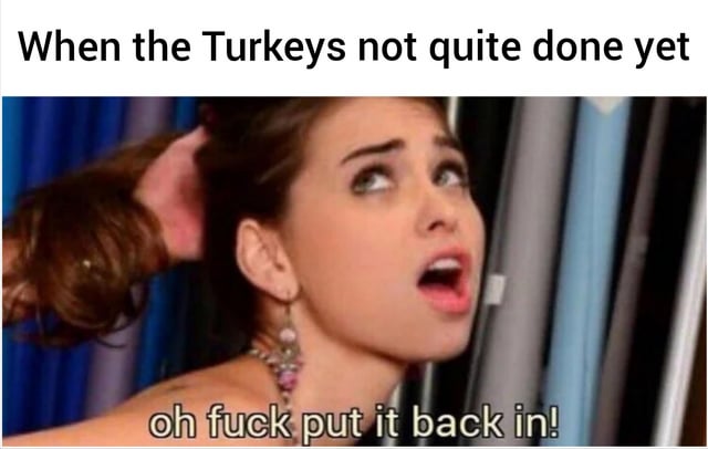 A meme featuring a screenshot of a woman with a shocked and surprised expression, her hair being pulled from behind. The top text reads 'When the Turkeys not quite done yet' and the bottom text, presented as her panicked reaction, reads 'oh fuck put it back in!'. The image humorously depicts a relatable holiday cooking mishap scenario, likely referencing Thanksgiving turkey preparation.