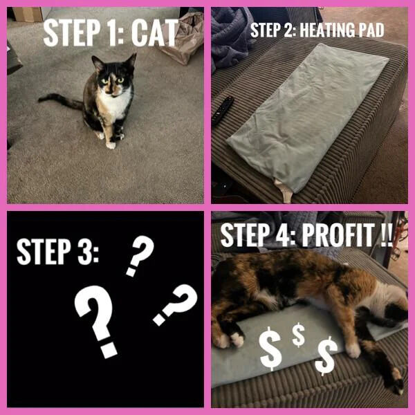 A 4-panel meme arranged in a 2x2 grid with a pink border. Panel 1 (top-left): A calico cat sits alertly on a carpeted floor with the text 'STEP 1: CAT'. Panel 2 (top-right): A gray heating pad lies on a couch with the text 'STEP 2: HEATING PAD'. Panel 3 (bottom-left): A black background with large white question marks and the text 'STEP 3: ???'. Panel 4 (bottom-right): The same calico cat lies relaxed on the heating pad with the text 'STEP 4: PROFIT !!' and three dollar signs ($) near its paws, implying the cat's comfort is the 'profit'.