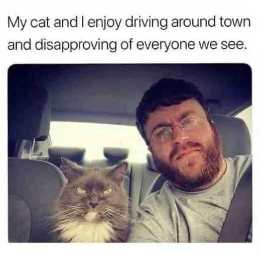A photograph capturing a man and his cat seated in the front of a car. The man, wearing a gray shirt and a seatbelt, has a slightly serious, disapproving expression. Next to him, a gray and white cat sits on the car seat, fixing an intense, judgmental stare forward. Above the image, text reads: 'My cat and I enjoy driving around town and disapproving of everyone we see.' The scene conveys a playful, relatable bond between pet and owner, blending humor with a wholesome tone.