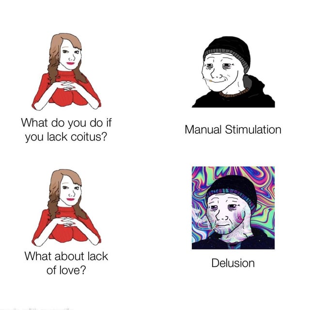 A 2x2 grid meme featuring two recurring characters. Top-left: A woman in a red sweater with clasped hands asks, 'What do you do if you lack coitus?' Top-right: A male character with a smirking expression is labeled 'Manual Stimulation'. Bottom-left: The same woman repeats, 'What about lack of love?' Bottom-right: The same male character, now with a trippy, colorful background, is labeled 'Delusion'. The humor arises from the sarcastic contrast between physical (coitus) and emotional (love) needs, with the second answer mocking the substitution of delusion for genuine love.