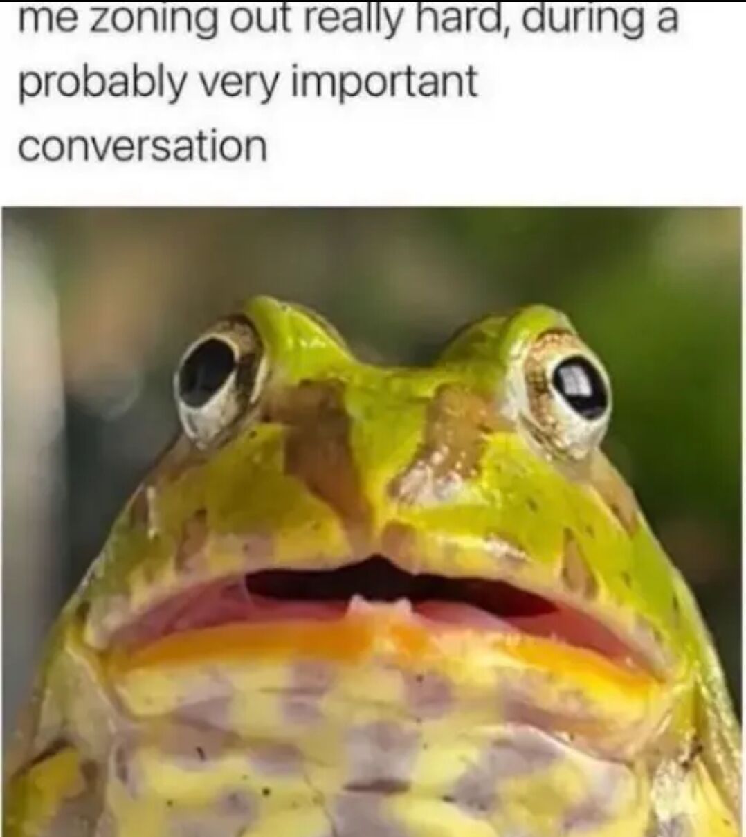 This is a relatable single-panel animal meme. At the top of the image, text reads 'me zoning out really hard, during a probably very important conversation'. Below the text is a close-up photograph of a green frog with wide, blank, unfocused eyes and its mouth slightly open, looking completely spaced out and unresponsive. The frog's vacant expression perfectly illustrates the common experience of unintentionally drifting off and not paying attention during a conversation that you should be focused on.