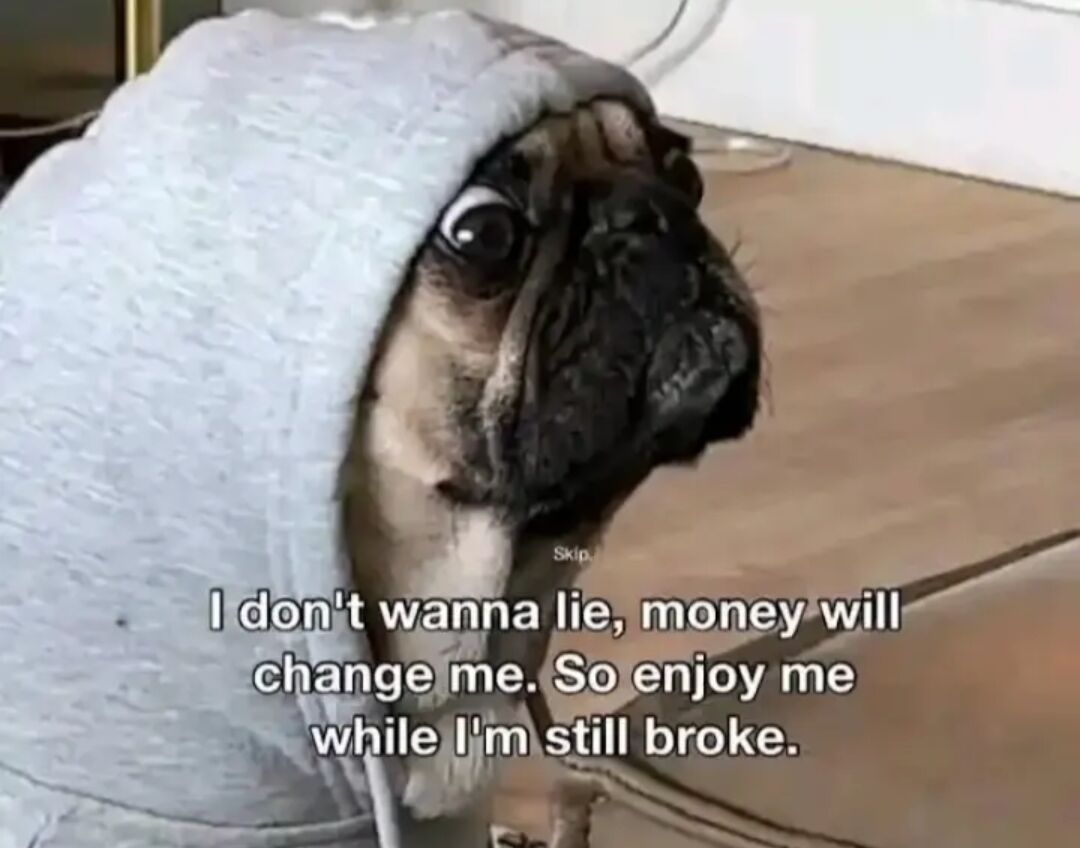 The meme features a real pug peeking partially out from under a fluffy light gray blanket, with one eye wide open staring directly at the viewer with an earnest, slightly alarmed expression. The scene is set in a home, with a light wood floor and plain white wall in the background. Overlaid white text on the lower half of the image reads 'I don't wanna lie, money will change me. So enjoy me while I'm still broke.', with a tiny 'Skip.' text snippet visible just above the main caption. The humor comes from the relatable, self-deprecating joke where the speaker playfully admits they would become a different person if they had more money, jokingly asking others to appreciate their current personality while they are still low on funds.