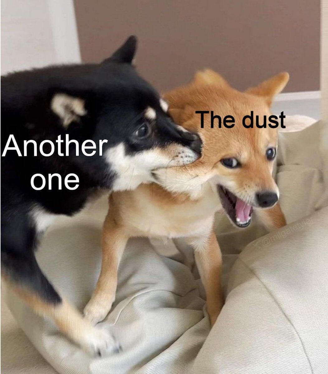 This meme uses two Shiba Inu dogs to humorously portray the relatable frustration of repeatedly discovering dust in a home. The black-and-white Shiba labeled "Another one" is playfully grabbing the face of the tan Shiba labeled "The dust", who displays a shocked, distressed expression with its mouth wide open. The joke leans into the universal experience of constantly encountering dust despite cleaning, framing each new dust spot as an annoying, unexpected "attack" that elicits an over-the-top reaction.