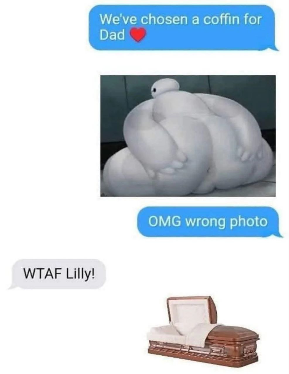 A multi-panel meme featuring a humorous conversation about a mistaken photo. The top blue speech bubble reads 'We've chosen a coffin for Dad ❤️', followed by an image of a large, round, white plush-like figure with a small black eye, lying on a surface. Below this image, another blue speech bubble states 'OMG wrong photo', then a gray speech bubble responds 'WTAF Lilly!', and the bottom image shows an open brown coffin with a white interior. The humor arises from the accidental sharing of a silly plush photo instead of the intended coffin image, leading to an embarrassed correction and an exasperated reaction.