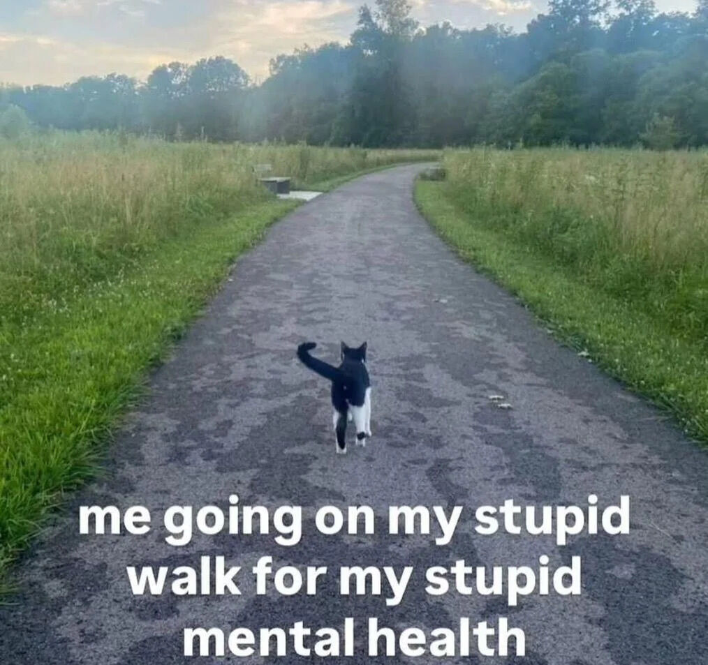 A photograph capturing a black and white cat walking away on a paved path that winds through a grassy field with tall green grass and trees in the background, bathed in soft, natural light suggesting sunrise or sunset. Overlaid at the bottom of the image is white text reading: 'me going on my stupid walk for my stupid mental health', which uses self-deprecating humor to affectionately frame the act of taking a walk for mental well-being. The scene evokes a calm, relatable, and wholesome atmosphere.