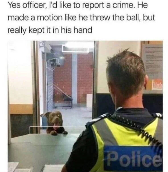 A humorous meme featuring a real brown dog peeking over a counter with its front paws resting on the desk, tongue out in a playful expression. Facing the dog is a police officer in a yellow high-visibility vest with 'Police' written on the back, standing at the counter with his back to the camera. Above the image is text representing the dog's comical 'statement' reporting a trivial 'crime': 'Yes officer, I'd like to report a crime. He made a motion like he threw the ball, but really kept it in his hand.' The scene personifies the dog as filing a complaint about someone faking a ball throw, a relatable and lighthearted scenario for pet owners.