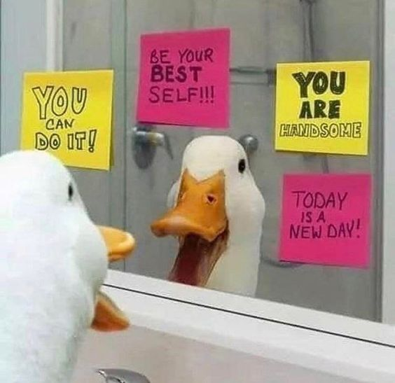 This wholesome meme shows a stuffed white duck standing at a bathroom sink looking at its reflection in the mirror. The mirror is decorated with four colorful sticky notes that all contain encouraging positive self-affirmation messages: yellow notes say 'YOU CAN DO IT!' and 'YOU ARE HANDSOME', while pink notes read 'BE YOUR BEST SELF!!!' and 'TODAY IS A NEW DAY!'. The image conveys an uplifting message of self-love, motivation, and daily positivity.