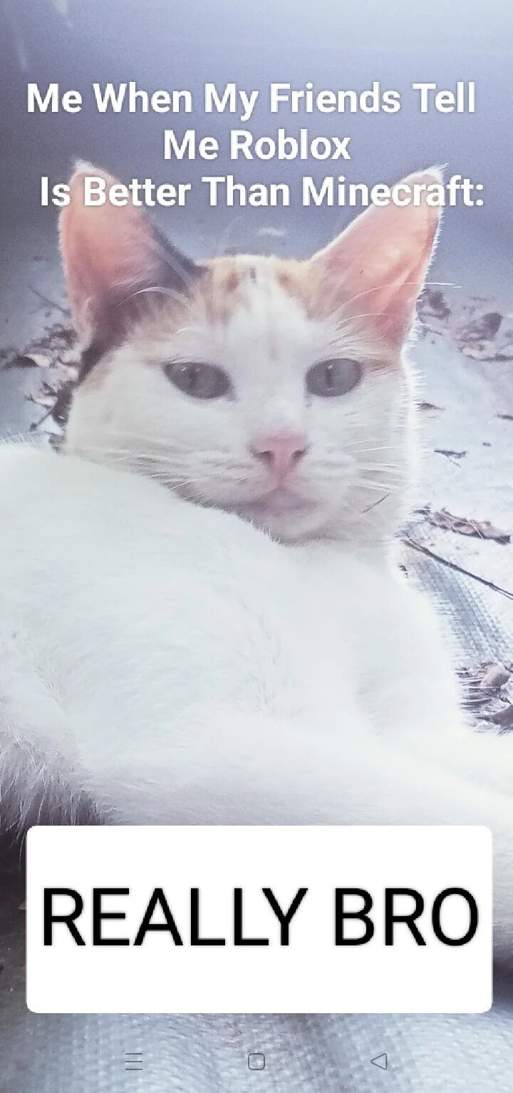 The image features a real white and orange cat lying on a textured surface with scattered dry leaves in the background. The cat has a neutral, slightly skeptical expression with perked ears and direct eye contact. At the top of the image, white text reads: 'Me When My Friends Tell Me Roblox Is Better Than Minecraft:'. At the bottom, a white rectangular box contains bold black text: 'REALLY BRO'. The cat's calm yet questioning demeanor complements the text, conveying playful disbelief towards the opinion that Roblox is superior to Minecraft.
