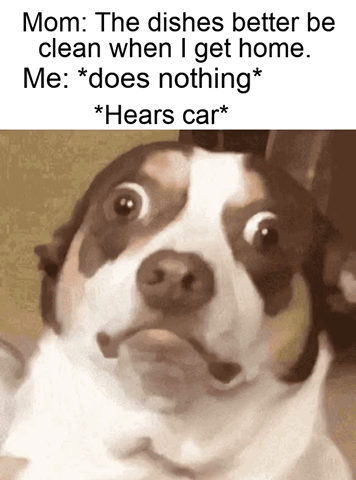 This meme depicts a highly relatable household scenario. The text at the top sets up the context: a mother tells her child that the dishes need to be clean when she returns home, the child ignores the request and does no chores, then suddenly hears the mother's car pulling up. Under this text is a close-up shot of a wide-eyed, startled, panicked-looking dog whose expression perfectly captures the feeling of sudden dread and urgency when you realize you have failed to complete a required task right as the person who assigned it is about to arrive.