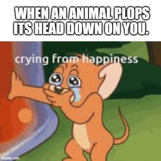 A meme with a top text overlay stating 'WHEN AN ANIMAL PLOPS ITS HEAD DOWN ON YOU.' Below is an animated orange mouse with large, teary eyes, standing on green grass with a red object in the background. The mouse has one hand raised to its face, appearing to cry happily, with the text 'crying from happiness' overlaid near its head. The bottom left corner features the 'imgflip.com' watermark.