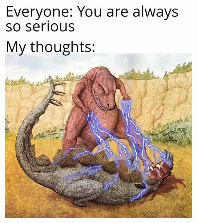 A meme featuring two sections of text at the top: 'Everyone: You are always so serious' and 'My thoughts:'. Below the text is an illustration of two dinosaurs in a rocky, grassy landscape. A red dinosaur stands over a gray dinosaur, emitting bright blue lightning from its hands, which strikes the gray dinosaur lying on the ground. The gray dinosaur appears to be in pain with its mouth open. The meme humorously contrasts the external perception of being serious with chaotic, intense internal thoughts (referred to as 'brainrot').