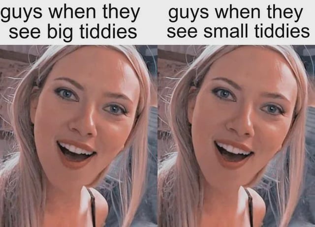 This is a two-panel side-by-side comparison meme that uses an identical photo of an excited, smiling blonde woman in both panels. The left panel is labeled 'guys when they see big tiddies' while the right panel is labeled 'guys when they see small tiddies'. The humorous punchline comes from the fact that both panels are exactly the same, implying that men are equally attracted to and excited by all breast sizes, regardless of whether they are large or small, subverting the common stereotype that men only prefer large breasts.