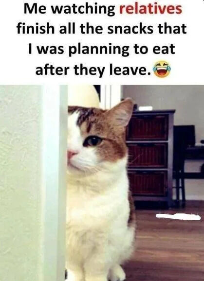 This meme has two core sections: text placed at the top, and a reaction photo below. The top text reads "Me watching relatives finish all the snacks that I was planning to eat after they leave." followed by a laughing crying emoji. The photo below depicts a brown and white domestic tabby cat peeking halfway out from behind a wall with a deadpan, annoyed, and judgmental expression. The background of the cat photo is a standard home interior with wooden flooring and a dark storage cabinet. The humor comes from the highly relatable feeling of frustration when visiting relatives consume all of your favorite reserved snacks that you had saved to enjoy after they leave, a feeling perfectly captured by the cat's unimpressed peeking expression.