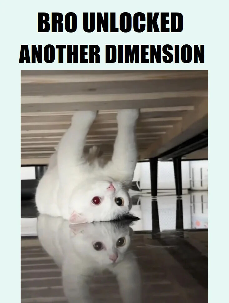 A wholesome meme featuring a white cat with heterochromatic eyes (one red, one black) lying on its back under a bed. The cat's paws are raised upwards towards the bed frame, and its reflection is visible on the shiny floor below. Above the image, bold black text reads 'BRO UNLOCKED ANOTHER DIMENSION,' playfully suggesting the cat has entered a different reality due to its upside-down position under the furniture.