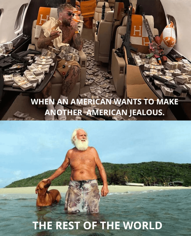 A two-panel meme contrasting how Americans and the rest of the world might attempt to make others jealous. The top panel shows a person sitting in a private jet cabin, surrounded by large stacks of cash, multiple firearms, and holding a sandwich. The text overlay reads: 'WHEN AN AMERICAN WANTS TO MAKE ANOTHER AMERICAN JEALOUS.' The bottom panel features an older man with a long white beard, shirtless, wearing patterned shorts, standing in shallow water with a brown dog. The background includes a tropical beach, green hills, and a clear blue sky. The text overlay here reads: 'THE REST OF THE WORLD.' The meme humorously satirizes cultural differences in what is considered enviable—material wealth (cash, guns, luxury travel) versus a simple, peaceful lifestyle (nature, companionship, relaxation).