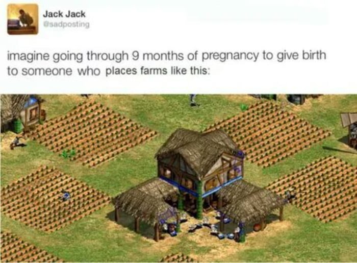 A meme combining a text overlay and a screenshot from the video game Age of Empires 2 (AoE2). The top section features a mock social media post by 'Jack Jack' (@sadposting) with the text: 'imagine going through 9 months of pregnancy to give birth to someone who places farms like this:'. Below the text is a screenshot from AoE2 showing a central thatched house surrounded by haphazardly placed farm plots, which are irregularly spaced and disorganized—likely a joke targeting players with poor in-game resource management skills. The humor is niche, appealing to AoE2 players familiar with the importance of efficient farm placement for resource optimization.