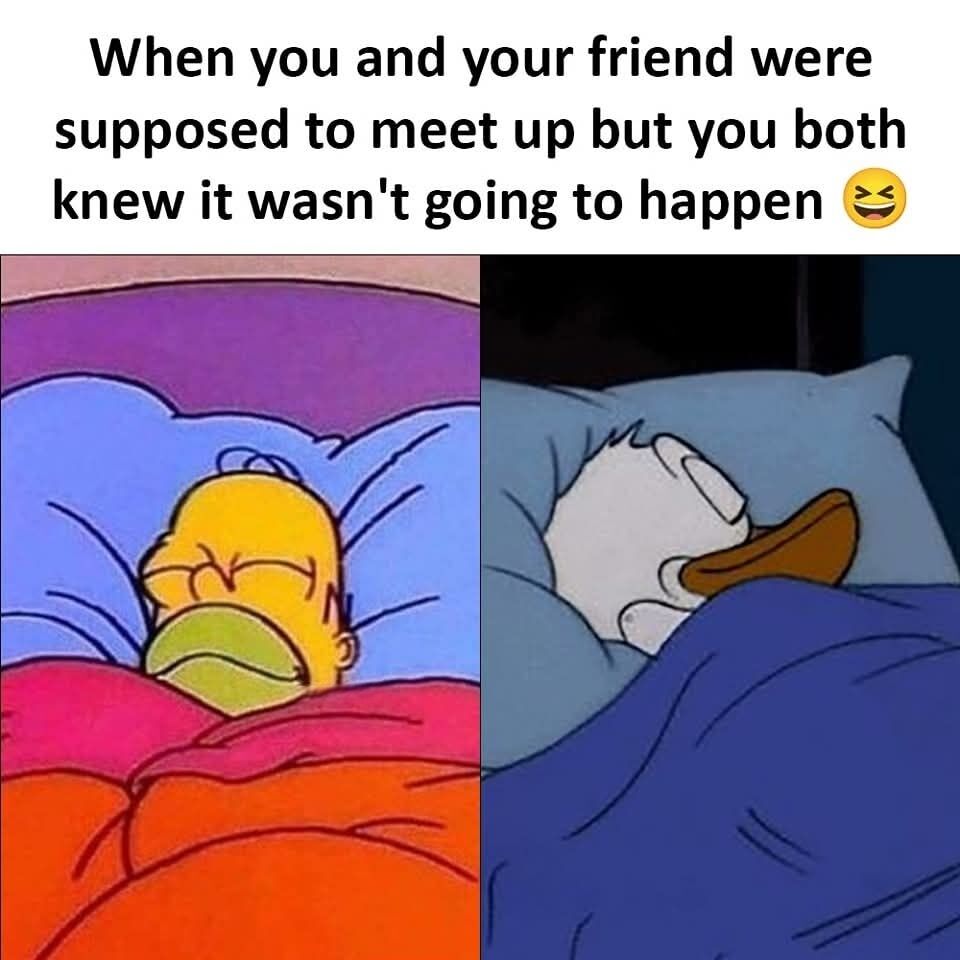 This is a two-panel relatable meme. At the top of the meme, text reads 'When you and your friend were supposed to meet up but you both knew it wasn't going to happen' paired with a grinning laughing emoji. The left panel features Homer Simpson from the animated series *The Simpsons* lying comfortably in bed under colorful blankets, eyes closed and looking relaxed, as if he has no intention of getting up to go to the planned meeting. The right panel features Donald Duck from Disney's animated shorts, also lying comfortably in bed under blue blankets, eyes closed and resting peacefully. The meme humorously captures the common unspoken understanding between close friends when neither party wants to go through with a casual pre-planned meetup, so both quietly stay home without even needing to message the other to cancel the plans.