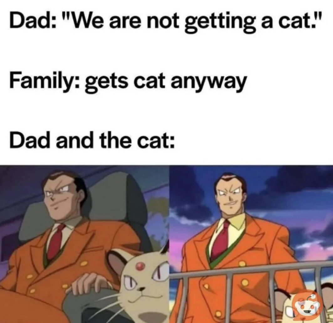 A meme featuring three text panels followed by two images. The text panels read: 'Dad: "We are not getting a cat."', 'Family: gets cat anyway', and 'Dad and the cat:'. Below the text are two images of Giovanni from Pokémon in an orange suit - one showing him sitting with Mewtwo on his lap and another showing him standing proudly with Mewtwo beside him. The meme humorously depicts the common scenario where a parent initially resists getting a pet but eventually bonds with it.