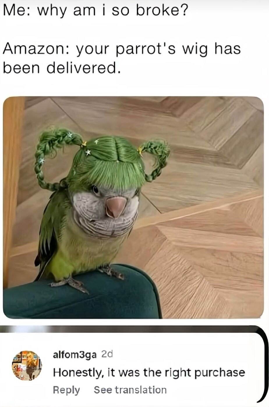A meme featuring a green parrot perched on a green cushioned surface against a wooden herringbone floor. The parrot is wearing a green wig styled into two pigtails adorned with small white stars. Above the image, text reads: 'Me: why am i so broke? Amazon: your parrot's wig has been delivered.' Below the image, a comment from user 'alfom3ga' (posted 2 days ago) states: 'Honestly, it was the right purchase.' The meme humorously explains overspending on a pet's whimsical accessory as the reason for being broke.