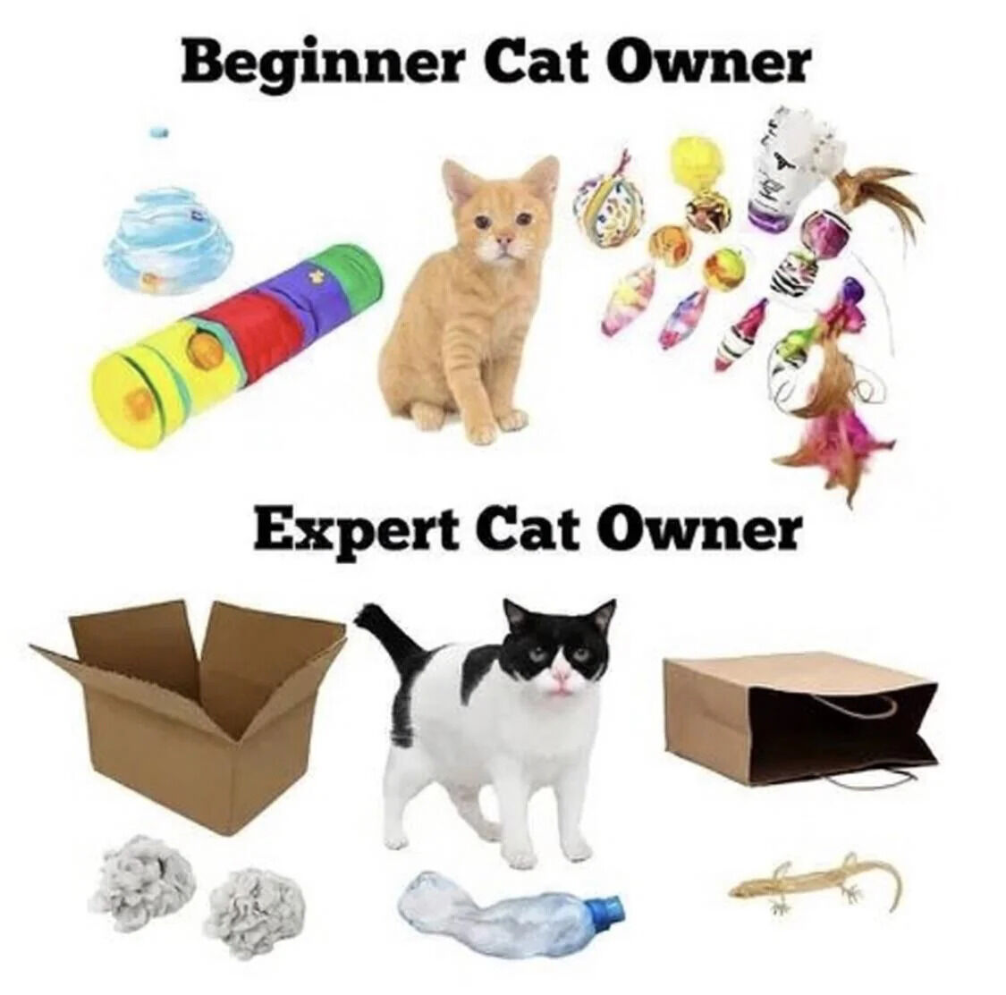 The meme is split into two comparative sections against a plain white background. The top section, labeled 'Beginner Cat Owner', features a young orange tabby kitten surrounded by a wide assortment of expensive, purpose-made commercial cat toys, including a colorful collapsible tunnel, crinkle balls, feather wands, bell toys, and other branded play products. The bottom section, labeled 'Expert Cat Owner', features an adult black and white tuxedo cat surrounded by cheap, common household items that cats are widely known to prefer over expensive toys: an open cardboard box, crumpled paper balls, an empty plastic water bottle, a brown paper shopping bag, and a small plastic lizard toy. The joke relies on the very common relatable experience of cat owners who find their pets ignore expensive purchased toys in favor of random, low-value household objects.