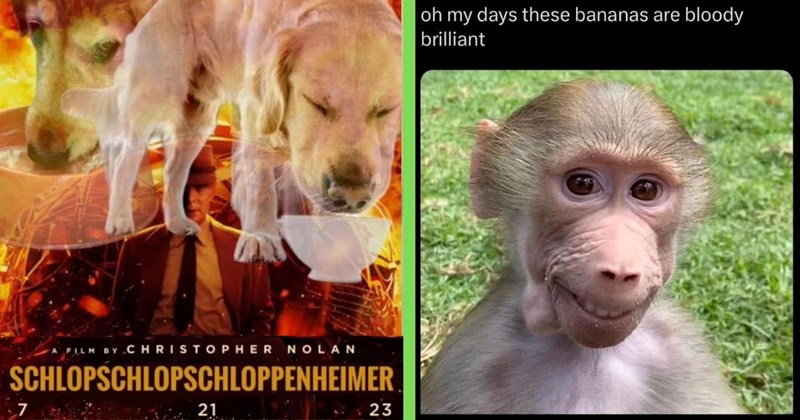 The image is a two-panel collage. Left panel: A spoof movie poster mimicking Christopher Nolan's dramatic style, titled 'SCHLOPSCHLOPSCHLOPPENHEIMER' with a release date '7 21 23'. It features golden retrievers with heads lowered (likely drinking) overlaid on a background with a suit-clad man, evoking Nolan's serious aesthetic. Right panel: A close-up of a monkey (possibly a baboon) with a neutral-to-slight smile against green grass, accompanied by text: 'oh my days these bananas are bloody brilliant'—a colloquial, enthusiastic comment about bananas.