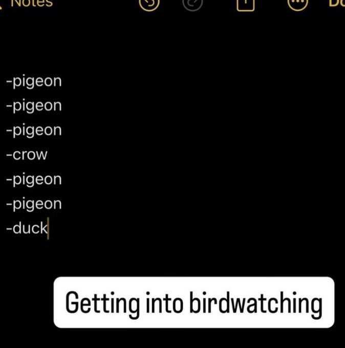 This image is a screenshot of the Apple iOS Notes application, showing a bulleted list of observed birds: the list contains 5 entries of 'pigeon', 1 entry of 'crow', an additional 'pigeon' entry, and ends with 'duck'. A white rounded text box at the bottom of the image carries the caption 'Getting into birdwatching'. The humor comes from the relatable joke that a novice birdwatcher is only able to identify the most common, widespread urban bird species, resulting in a very repetitive, basic observation list that contrasts with the expected diverse, specialized list experienced birdwatchers would keep.
