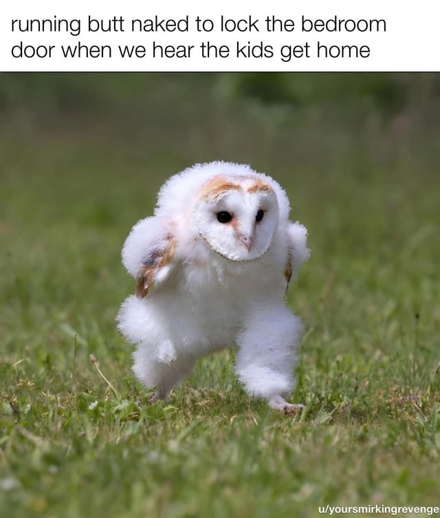 The meme features a text caption at the top that reads "running butt naked to lock the bedroom door when we hear the kids get home", placed above a photograph of a fluffy baby barn owl that visually appears to be hurrying or running at speed across green grass. The humorous joke relies on relatable adult/parenting experience: the rush to cover up or secure a private bedroom space when children return home unexpectedly to avoid being seen undressed, with the soft, fluffy, seemingly rushed baby owl perfectly embodying the harried, panicky feeling of that moment. The original referenced title also notes the owl's fluffy legs look like Nike tube socks, adding an extra layer of silly visual humor.