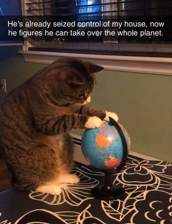 The image features a brown tabby cat with white paws standing on a table covered in a black cloth with white floral patterns. The cat is resting its two front paws on a small desktop globe, looking down at it intently as if inspecting or claiming it. Overlaid white text at the top of the image reads: "He's already seized control of my house, now he figures he can take over the whole planet." The background shows a window with horizontal blinds and a light green wall. The joke leans into the popular comedic trope of cats acting as the ruling authority in their owners' homes, humorously extending that perceived dominance to an absurd plan for global conquest.