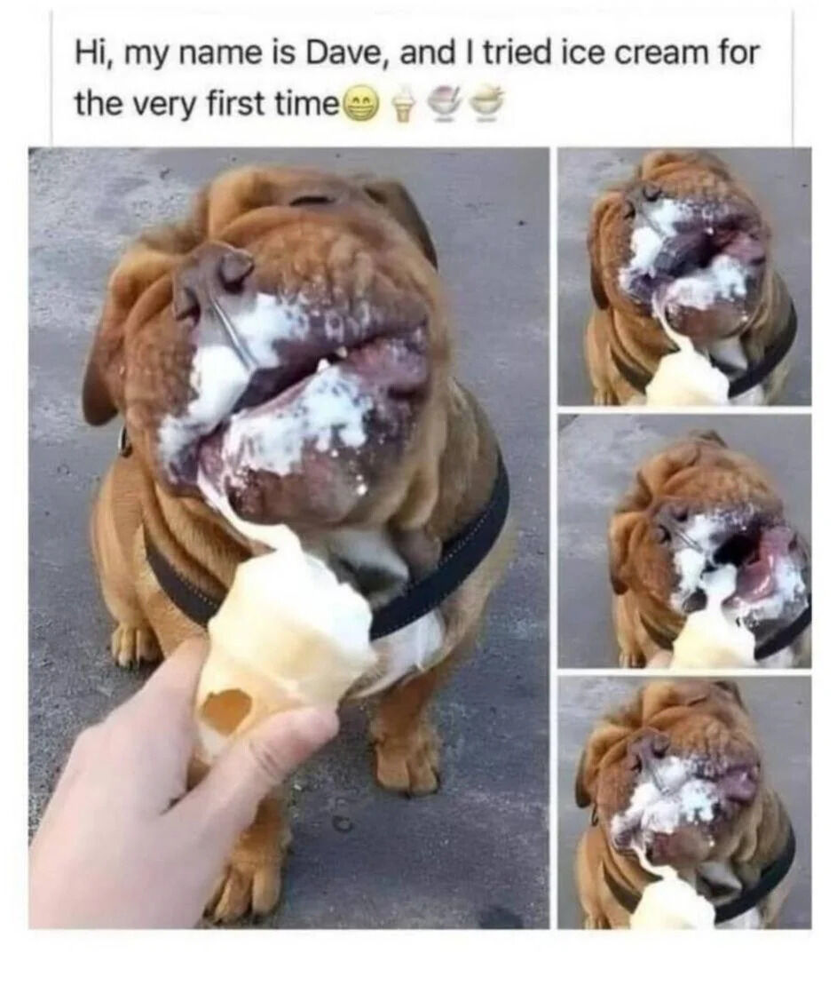 A wholesome meme featuring a brown bulldog named Dave experiencing ice cream for the first time. The top text reads 'Hi, my name is Dave, and I tried ice cream for the very first time 😊🍦🍨🥄'. Below the text is a collage of four photos showing the bulldog with ice cream all over its face, looking happy and excited. The dog's mouth is open, tongue visible, and ice cream covers its snout and下巴, emphasizing the joy of the first-time experience.