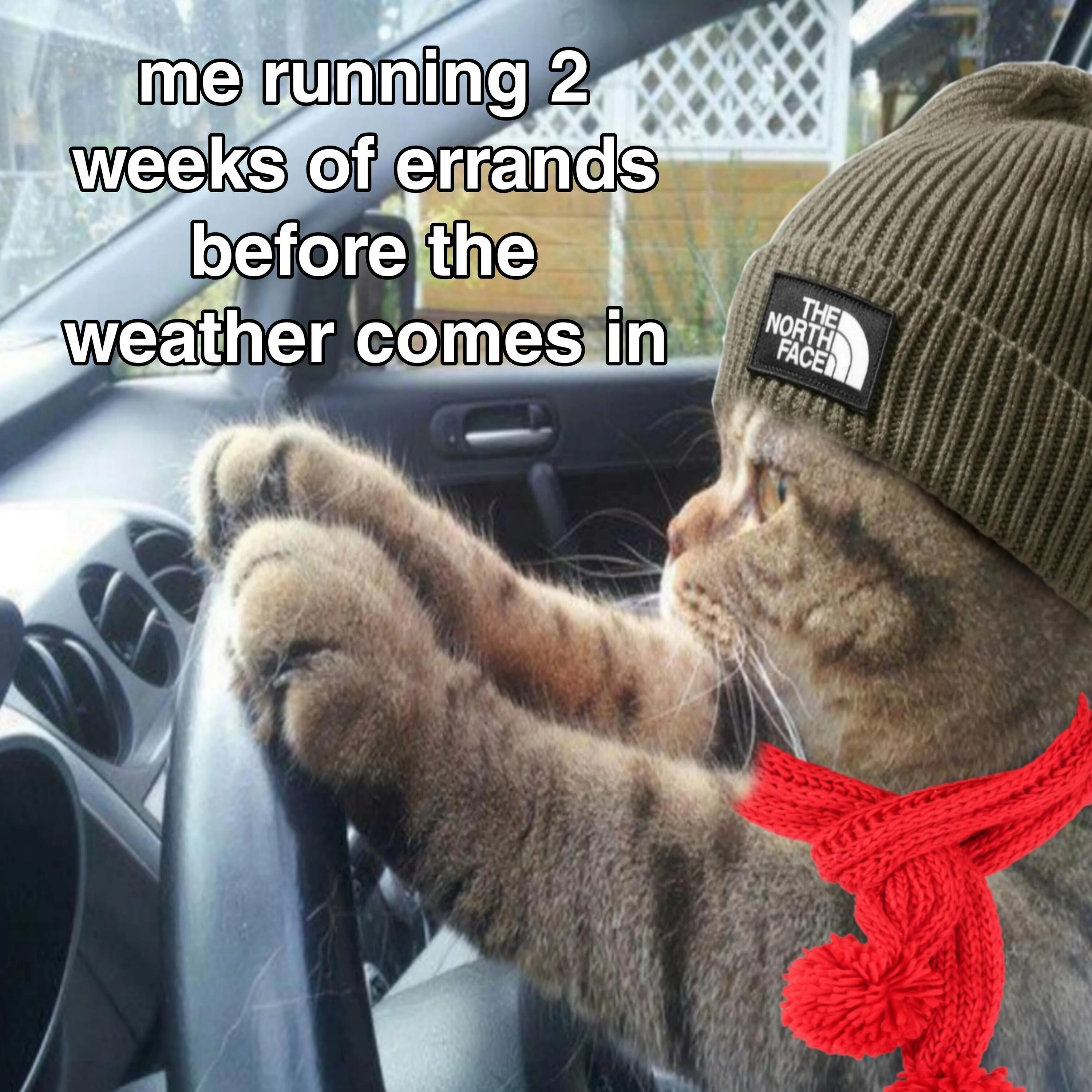 A wholesome meme featuring a real cat sitting in the driver's seat of a car. The cat is wearing a brown The North Face beanie and a red knitted scarf, with its front paws resting on the steering wheel as if driving. The cat has a focused expression, looking out the car window. Overlaid white text reads: 'me running 2 weeks of errands before the weather comes in', humorously capturing the relatable urgency of completing tasks before inclement weather arrives.