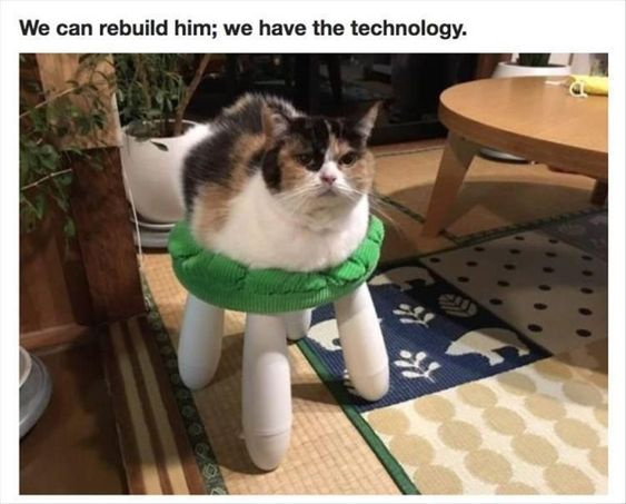 This meme features a calico cat sitting perfectly atop a small green-topped stool with white, leg-shaped supports, creating a forced perspective optical illusion that makes it appear the cat has artificial, bionic-style legs. The top text reads *"We can rebuild him; we have the technology."*, a direct reference to the iconic line from the 1970s TV series *The Six Million Dollar Man*, where a critically injured man is reconstructed with advanced bionic implants. The humor comes from framing the cat as the "rebuilt" subject, leaning into the sci-fi reference for silly, lighthearted effect. The cat has a grumpy, resigned facial expression, which amplifies the comedic tone of the visual gag.