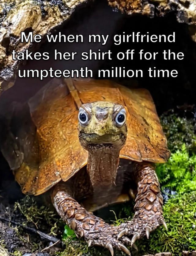 This single-panel reaction meme features a photograph of a wide-eyed brown turtle peeking out from a dark rocky crevice, resting its front claws on mossy ground and looking directly forward with an expression of extreme excitement and captivation. White overlaid text on the upper portion of the image reads 'Me when my girlfriend takes her shirt off for the umpteenth million time'. The meme humorously compares the turtle's overjoyed, transfixed expression to the feeling of a boyfriend who remains endlessly excited and attracted to his girlfriend even after seeing her undress countless times, leaning into the wholesome, relatable joke that long-term romantic attraction does not fade with repetition.