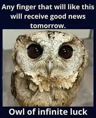 A meme featuring a close-up photograph of an owl with prominently large, round eyes. The top section contains white text on a dark background that reads: 'Any finger that will like this will receive good news tomorrow.' Below the owl image, additional white text on a dark background states: 'Owl of infinite luck.' The design aims to encourage social media engagement by linking a 'like' action to the promise of receiving good news the following day, leveraging the owl's endearing appearance to enhance appeal.