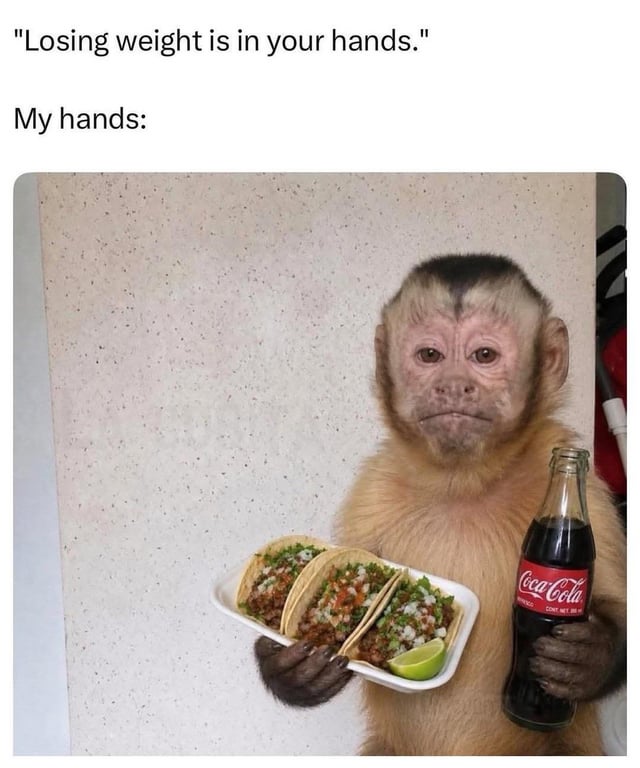 This is a relatable comedy meme. The top section has two lines of text: the first line reads "Losing weight is in your hands," a common phrase meaning people are responsible for their own weight loss progress, followed by the second line "My hands:". Below the text is a photo of a capuchin monkey with a deadpan, unapologetic expression, holding a plate of three loaded tacos with a lime wedge in one hand, and a glass bottle of Coca-Cola in the other. The joke subverts the original meaning of the phrase by showing that the speaker's hands are instead holding high-calorie, unhealthy food, leaning into the relatable experience of struggling to stick to weight loss goals.