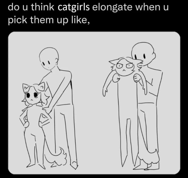 A humorous two-panel line art illustration featuring catgirls and stick-figure humans. The top text poses the question: 'do u think catgirls elongate when u pick them up like,'. In the left panel, a catgirl (with cat ears, tail, and neutral expression) stands upright with hands on hips, accompanied by a standing stick-figure human. In the right panel, another stick-figure human holds a catgirl who has been comically elongated, with the catgirl displaying a grumpy or annoyed expression, mimicking how real cats often stretch or elongate when picked up.