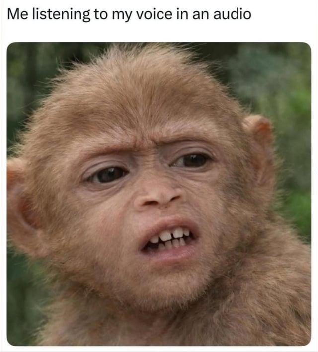 This is a single-panel reaction meme. Text at the top of the image reads 'Me listening to my voice in an audio', paired with a close-up photograph of a baby monkey below. The monkey has a cringing, confused, displeased expression: its forehead is furrowed, its mouth is slightly open showing its teeth, and it appears to be reacting to something unpleasant. The meme references the extremely common relatable experience of people feeling discomfort or dislike when hearing their own voice played back in an audio recording, as the recorded voice sounds different from how people perceive their own voice while speaking.