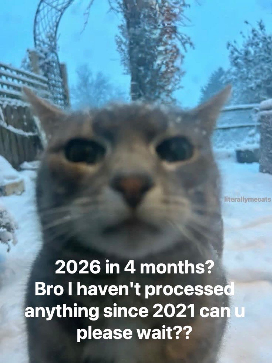 The meme features a close-up, slightly soft-focus shot of a wide-eyed tabby cat standing outside in a snow-covered backyard during winter, with faint snowflakes visible on its fur and a blueish overcast winter sky in the background. The cat has a bewildered, stunned expression as it looks directly at the viewer. White overlaid text on the lower half of the image reads '2026 in 4 months? Bro I haven't processed anything since 2021 can u please wait??', conveying the extremely relatable modern feeling that time has passed disorientingly fast since the early 2020s, with many people feeling they have not adjusted to the pace of life after the pandemic and are shocked at how quickly subsequent years are going by.