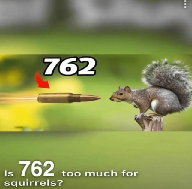 A meme image featuring a gray squirrel standing alert on a small wooden stump, facing a large bullet labeled '762' with a red arrow pointing to the bullet. The bullet appears to be in motion, indicated by a yellow speed streak. The background is a blurred outdoor scene with green grass and yellow flowers. At the bottom of the image, white text reads, 'Is 762 too much for squirrels?' The image humorously contrasts the small animal with the oversized ammunition, posing an absurd question about excessive force.
