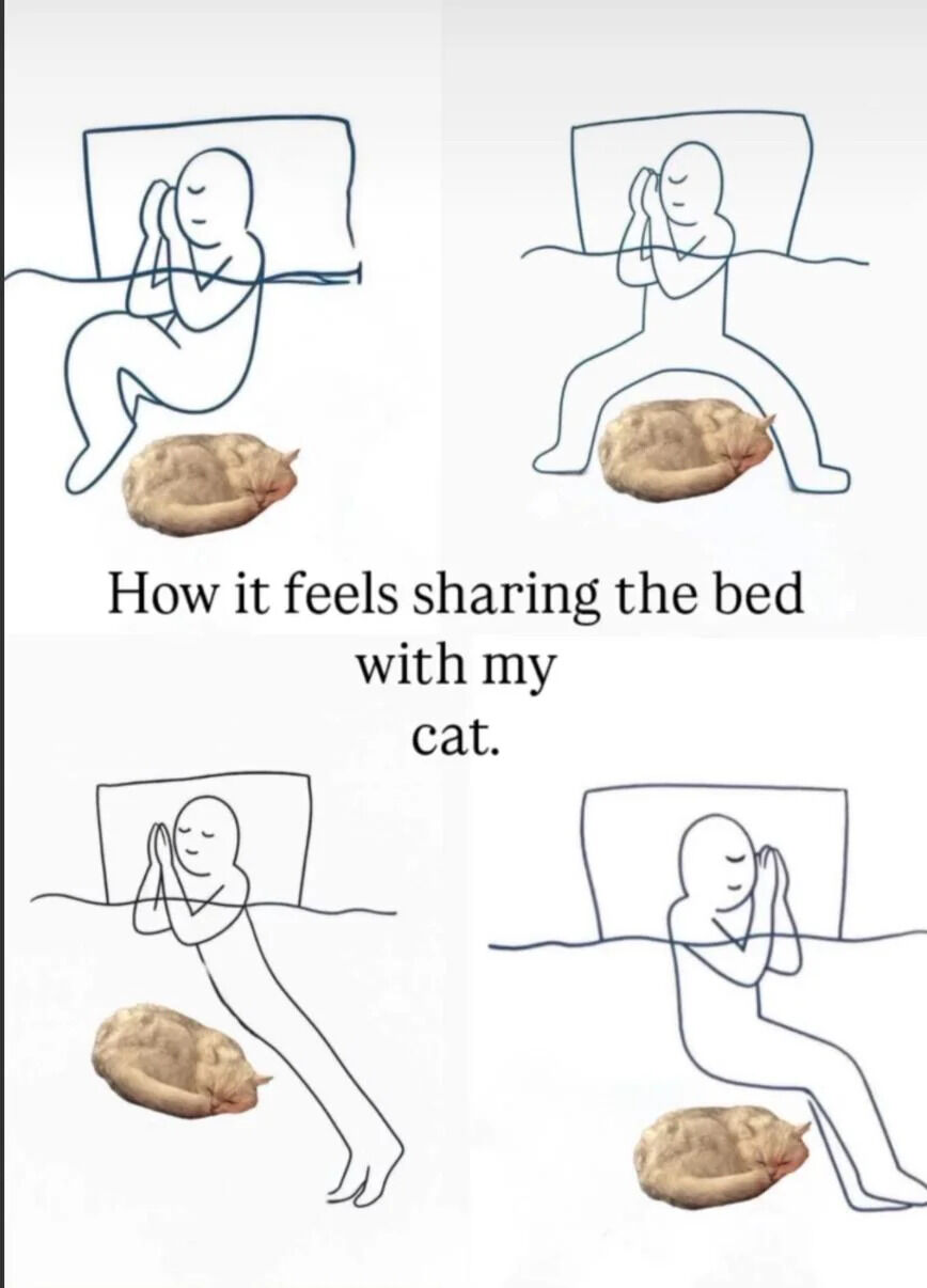 A four-panel wholesome meme depicting the experience of sharing a bed with a cat. The top-left panel shows a simple stick figure lying in bed with hands clasped under the head, and a real photo of a curled-up sleeping cat at the figure's feet. The top-right panel shows the cat has moved to lie between the stick figure's legs, causing the figure to adjust its posture. The bottom-left panel shows the cat back at the feet, with the stick figure leaning slightly to the side. The bottom-right panel shows the stick figure fully adjusted, lying comfortably with the cat still at the feet. Centered between the panels is the text: 'How it feels sharing the bed with my cat.'