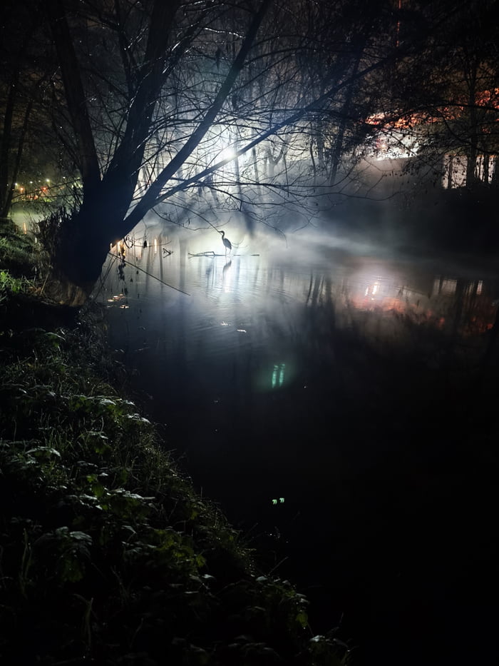A serene nighttime landscape featuring a calm river enveloped in light mist. Dense, leafless trees frame the scene, their branches creating a natural canopy over the water. A lone heron stands motionless in the middle of the river, its silhouette sharply defined against the mist. Soft, distant lights from unseen sources illuminate the background, casting warm reflections on the water's surface. The foreground shows grassy riverbanks with sparse vegetation, enhancing the wild, untouched feel. The mist hovers just above the water, adding a mystical, dreamlike quality to the composition. The heron's stillness contrasts with the gentle movement implied by the mist, creating a peaceful and ethereal atmosphere.