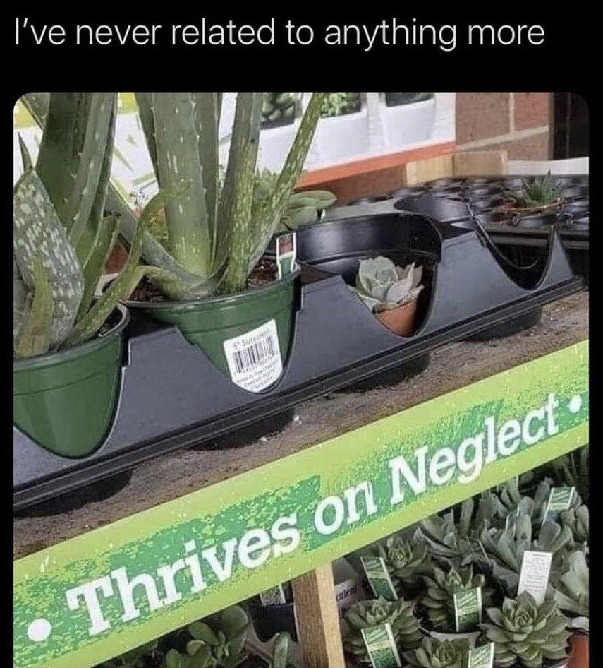 The meme shows a photograph of a shelf at a plant retail store. The shelf holds low-maintenance potted plants including aloe vera and succulents. A green printed label on the shelf reads "Thrives on Neglect", describing the type of plants that grow well with minimal care and infrequent watering. Overlaid text at the top of the meme states "I've never related to anything more", creating a humorous self-deprecating joke where the poster compares themselves to the plants, implying they also do well when left alone or have become accustomed to receiving little attention.