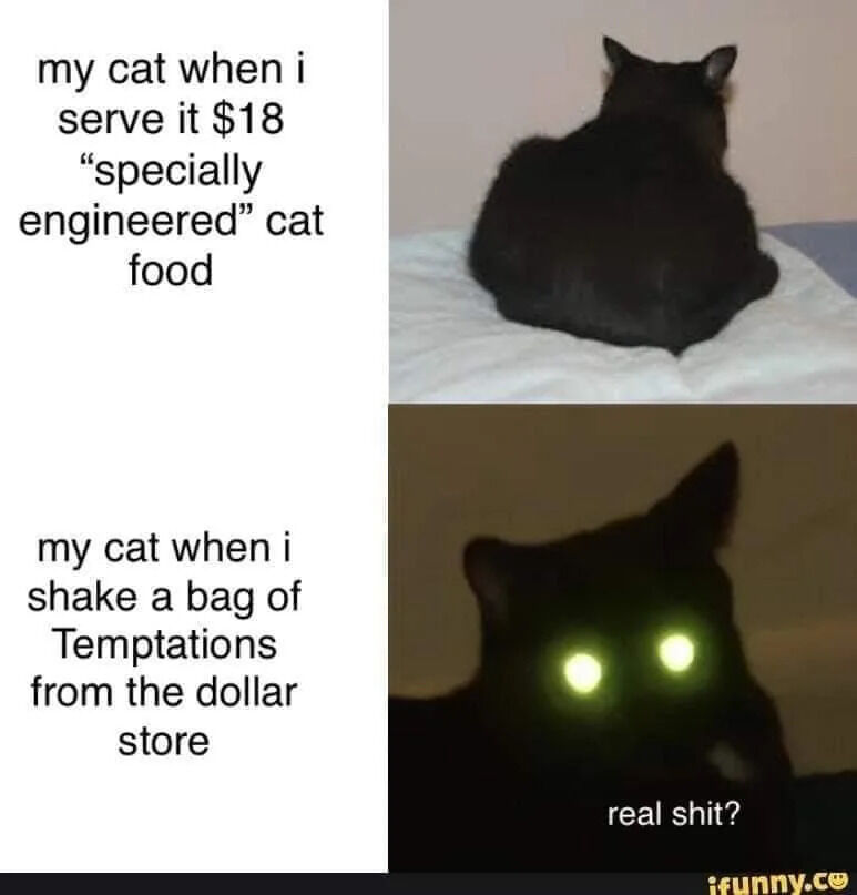 A two-panel comparison meme featuring a black cat's contrasting reactions to expensive versus inexpensive treats. The top panel pairs the text 'my cat when i serve it $18 'specially engineered' cat food' with an image of the cat lying背对镜头, appearing uninterested and indifferent. The bottom panel shows the text 'my cat when i shake a bag of Temptations from the dollar store' alongside an image of the same cat facing the camera with dramatically glowing green eyes, conveying intense excitement, accompanied by the caption 'real shit?' at the bottom. The meme humorously highlights the irony of pets often preferring cheap, accessible treats over costly, marketed products.