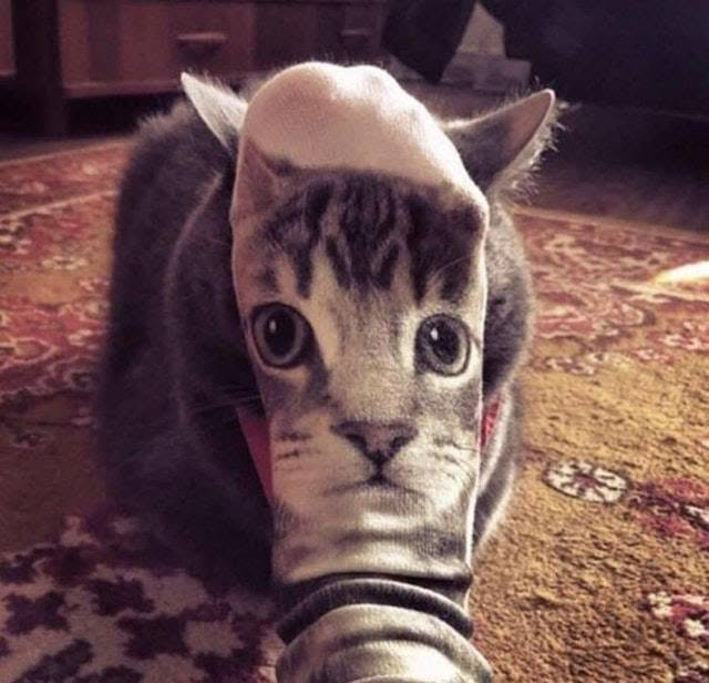 The image captures a grey tabby cat sitting on a patterned warm-toned area rug in an indoor room. A sock printed with the face of a wide-eyed tabby cat is stretched over the real cat's head, with the real cat's pointy ears sticking out from behind the sock. This setup creates a humorous optical illusion, making it appear as if the cat has an unusually large, elongated, slightly distorted face with extra-wide eyes. The background is softly blurred, showing indoor furniture under warm ambient lighting.