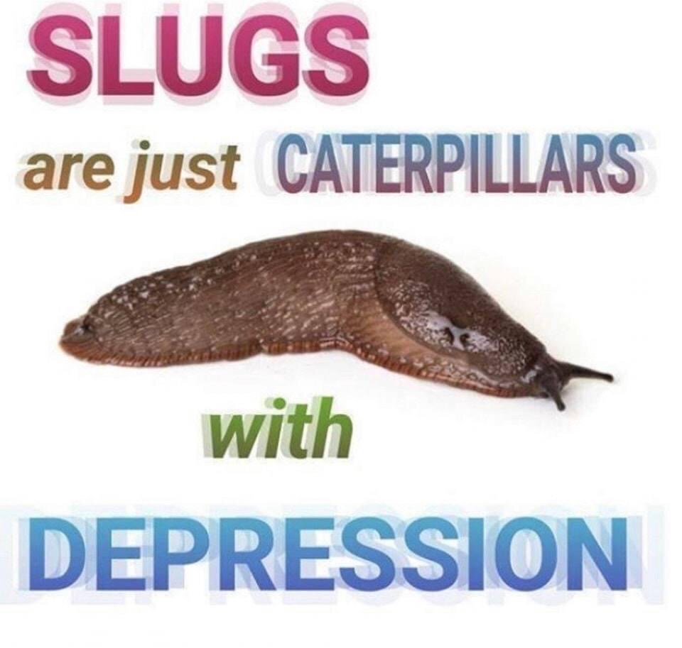 This is a single-panel dark humor meme set against a plain white background. A photograph of a brown, slimy, motionless garden slug is placed at the center of the frame. Text is arranged around the slug: bold pink gradient text at the top reads 'SLUGS', light brown text next to it says 'are just', blue-purple gradient text after that reads 'CATERPILLARS', green text below the slug says 'with', and large blue gradient text at the very bottom reads 'DEPRESSION'. The joke uses relatable dark humor, framing slugs as demotivated, low-energy caterpillars that lack the drive to grow fur or go through metamorphosis into butterflies, playing on common popular associations of depression with lethargy, apathy, and lack of motivation.