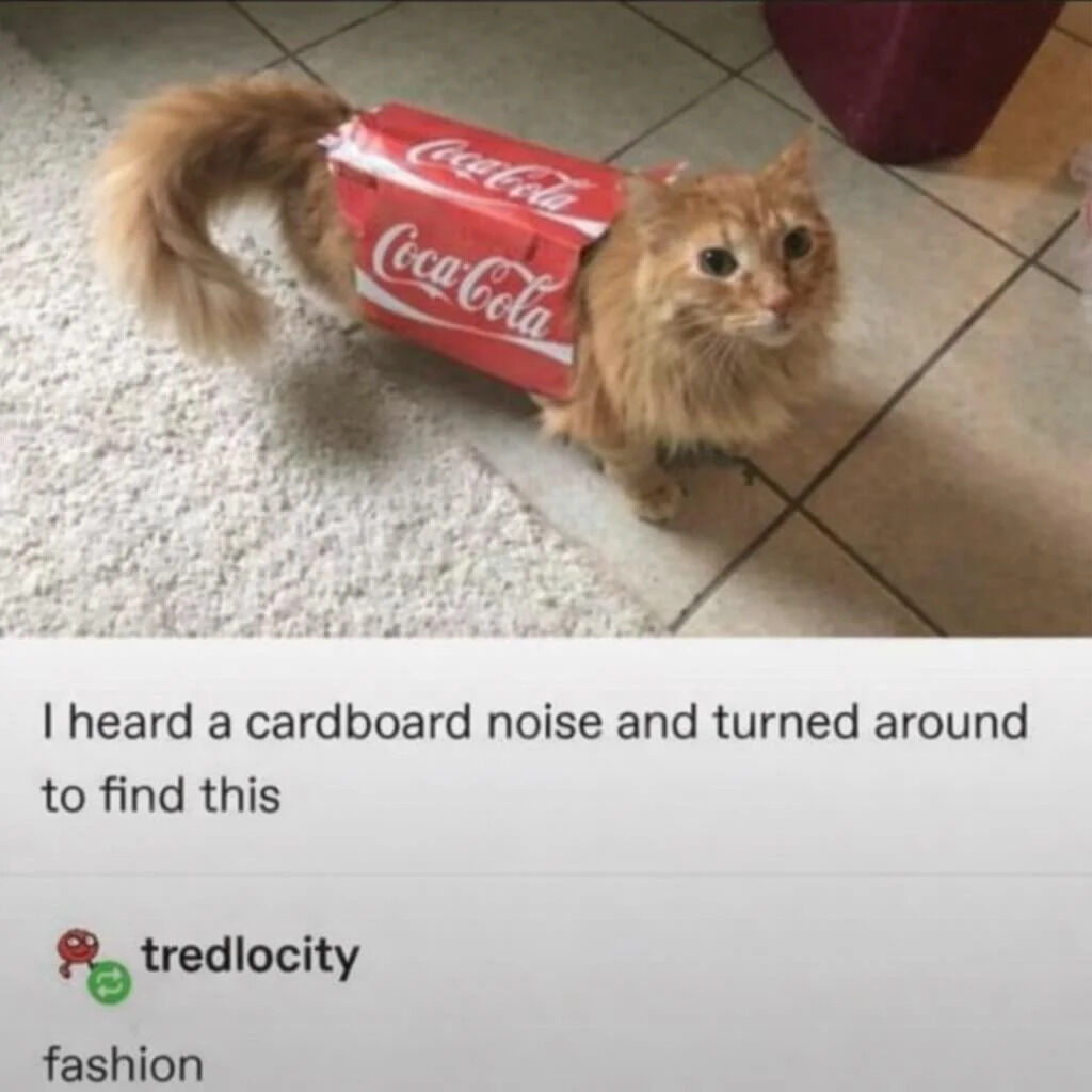 A fluffy orange cat standing on a tiled floor with a carpeted area nearby, wearing a red Coca-Cola cardboard box around its torso like a costume. The cat has a curious expression with wide eyes, looking directly at the camera. Below the image, there is a caption that reads: 'I heard a cardboard noise and turned around to find this.' The overall tone is wholesome and humorous, showcasing a playful moment with a pet.