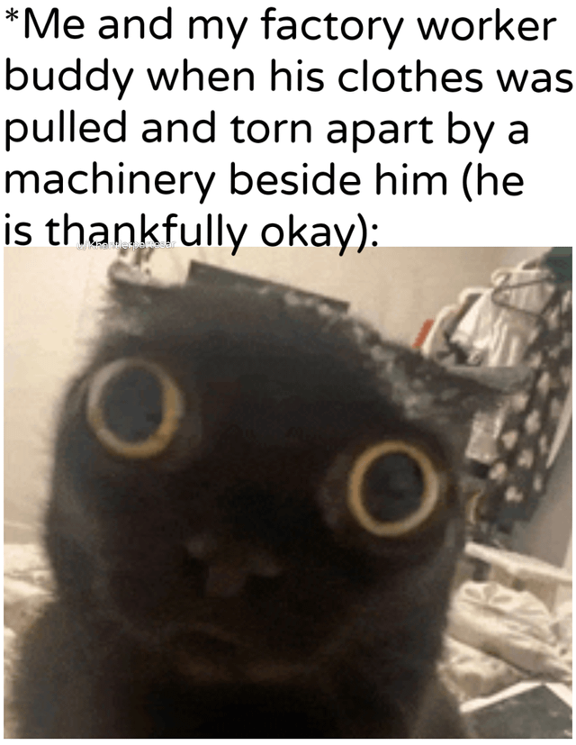 The meme features a top text block followed by a photograph of a black cat with extremely wide, round eyes, conveying a shocked or startled expression. The text above the image humorously describes a scenario: 'Me and my factory worker buddy when his clothes was pulled and torn apart by a machinery beside him (he is thankfully okay):'. The cat's exaggerated reaction visually represents the surprise and relief of the meme creator and their friend after the workplace incident, where the friend's clothes were damaged but they remained unharmed.