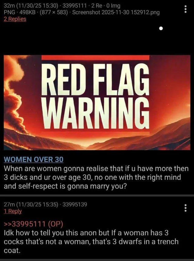 A screenshot of an anonymous social media thread featuring a provocative meme. The top post includes a dramatic 'RED FLAG WARNING' graphic with a red-orange gradient background resembling a sunset or wildfire. Below the graphic, bold text reads 'WOMEN OVER 30' followed by a misogynistic comment: 'When are women gonna realise that if u have more then 3 dicks and ur over age 30, no one with the right mind and self-respect is gonna marry you?' A subsequent reply from the original poster (OP, username '33995111') humorously counters: 'Idk how to tell you this anon but If a woman has 3 cocks that's not a woman, that's 3 dwarfs in a trench coat'. The thread shows timestamps indicating the posts were made within minutes of each other on November 30, 2025.