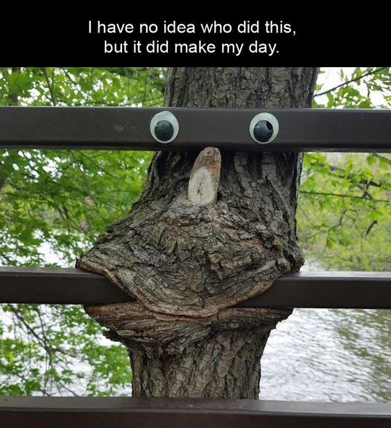 This meme showcases a real tree positioned behind a metal railing. Someone attached googly eyes to the railing above the tree's trunk knot, which naturally resembles a mouth—creating the playful illusion that the tree is peeking through with a curious face. The text at the top reads: *I have no idea who did this, but it did make my day.* It's a heartwarming, wholesome image that celebrates small, random acts of joy that brighten everyday moments.