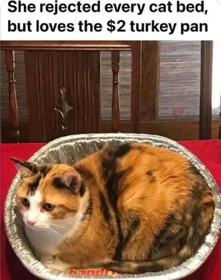 A humorous image featuring a calico cat curled up comfortably inside a disposable aluminum turkey pan. Above the cat, text reads: 'She rejected every cat bed, but loves the $2 turkey pan,' highlighting the common and relatable pet behavior of preferring inexpensive, unconventional items over expensive, purpose-made products. The cat, with a mix of orange, black, and white fur, appears calm and content, with its body fully fitting the round pan. The background shows wooden furniture and a red tablecloth, suggesting a home setting.